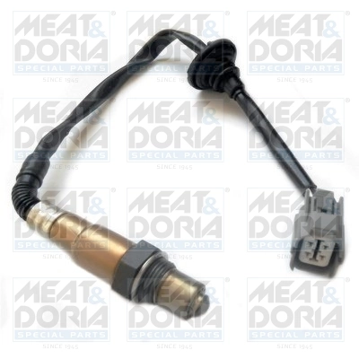 Oxygen Sensor